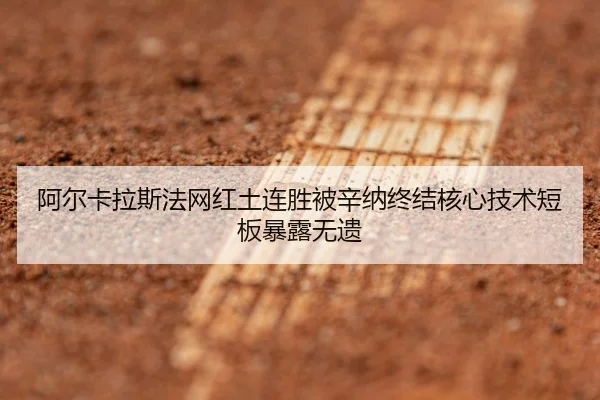 a-er-ka-la-si-fa-wang-hong-tu-lian-sheng-bei-xin-na-zhong-jie-he-xin-ji-shu-duan-ban-bao-lu-wu-yi-2-948.jpg