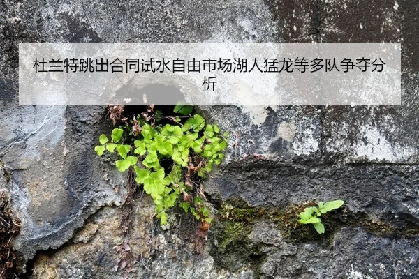 杜兰特跳出合同试水自由市场湖人猛龙等多队争夺分析