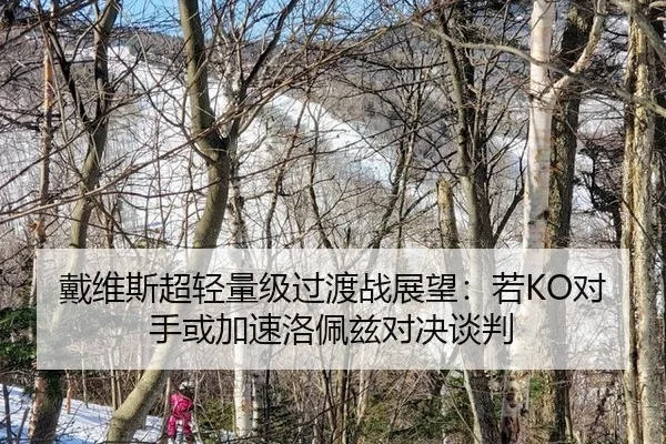 dai-wei-si-chao-qing-liang-ji-guo-du-zhan-zhan-wang-ruo-dui-shou-huo-jia-su-luo-pei-zi-dui-jue-tan-pan-3-269.jpg