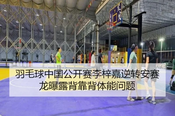 yu-mao-qiu-zhong-guo-gong-kai-sai-li-zi-jia-ni-zhuan-an-sai-long-pu-lu-bei-kao-bei-ti-neng-wen-ti-1-224.jpg
